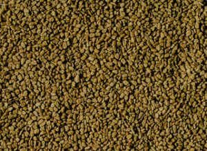 seeds